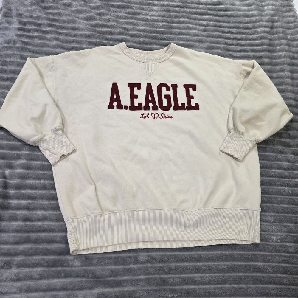 American Eagle Outfitters Soft Comfy Oversized Crewneck Sweatshirt Collegiate. L